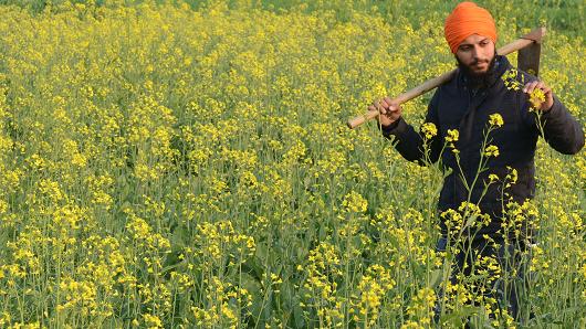 January 21, 2018: Indian farmer Neeraj Singh walks through his mustard field on the outskirts of Amritsar on the eve of Basant Panchmi, a festival that celebrates the onset of spring.