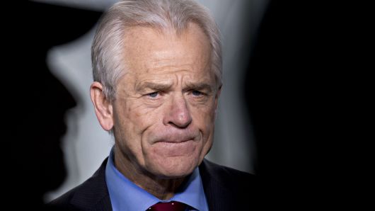 Peter Navarro, director of the National Trade Council.