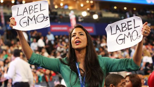 Delegate Vani Hari holds signs that say 'Label GMOs' during day two of the Democratic National Convention at Time Warner Cable Arena on September 5, 2012 in Charlotte, North Carolina.