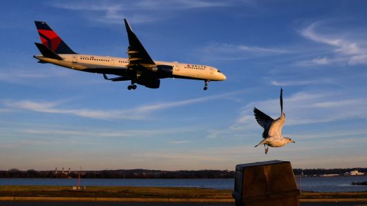 As an airliner prepares to land, a bird takes off at the Gravelly Point park that's just off the end of the runway near Reagan National Airport.