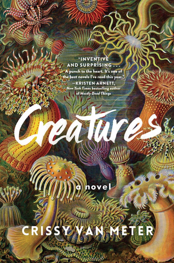 In “Creatures,” there are two kinds of people: those who stay on Winter Island and those who leave.
