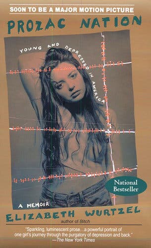 Critics were initially divided over the confessional tone of “Prozac Nation,” but the book, Michiko Kakutani of The Times wrote, “ultimately wins the reader over.”