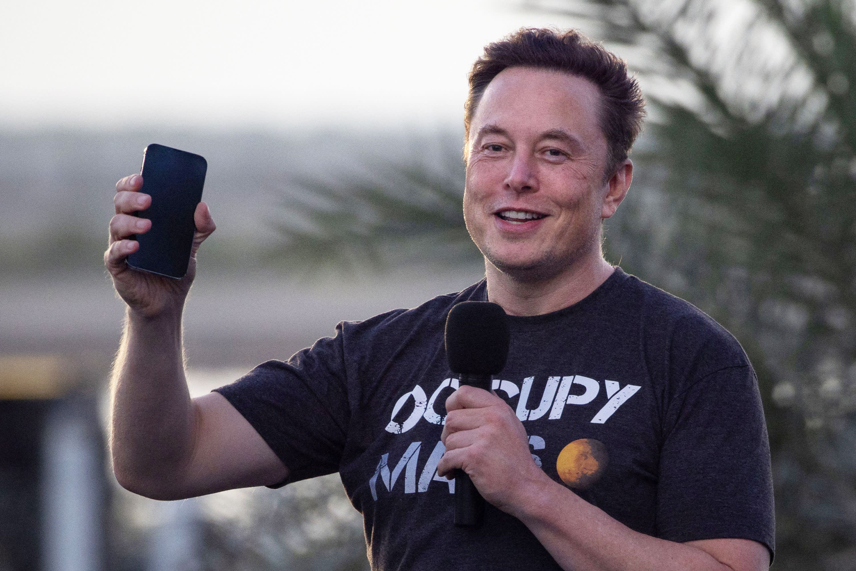 Tesla's stock is suffering from Musk's Twitter takeover, Morgan Stanley survey of investors finds