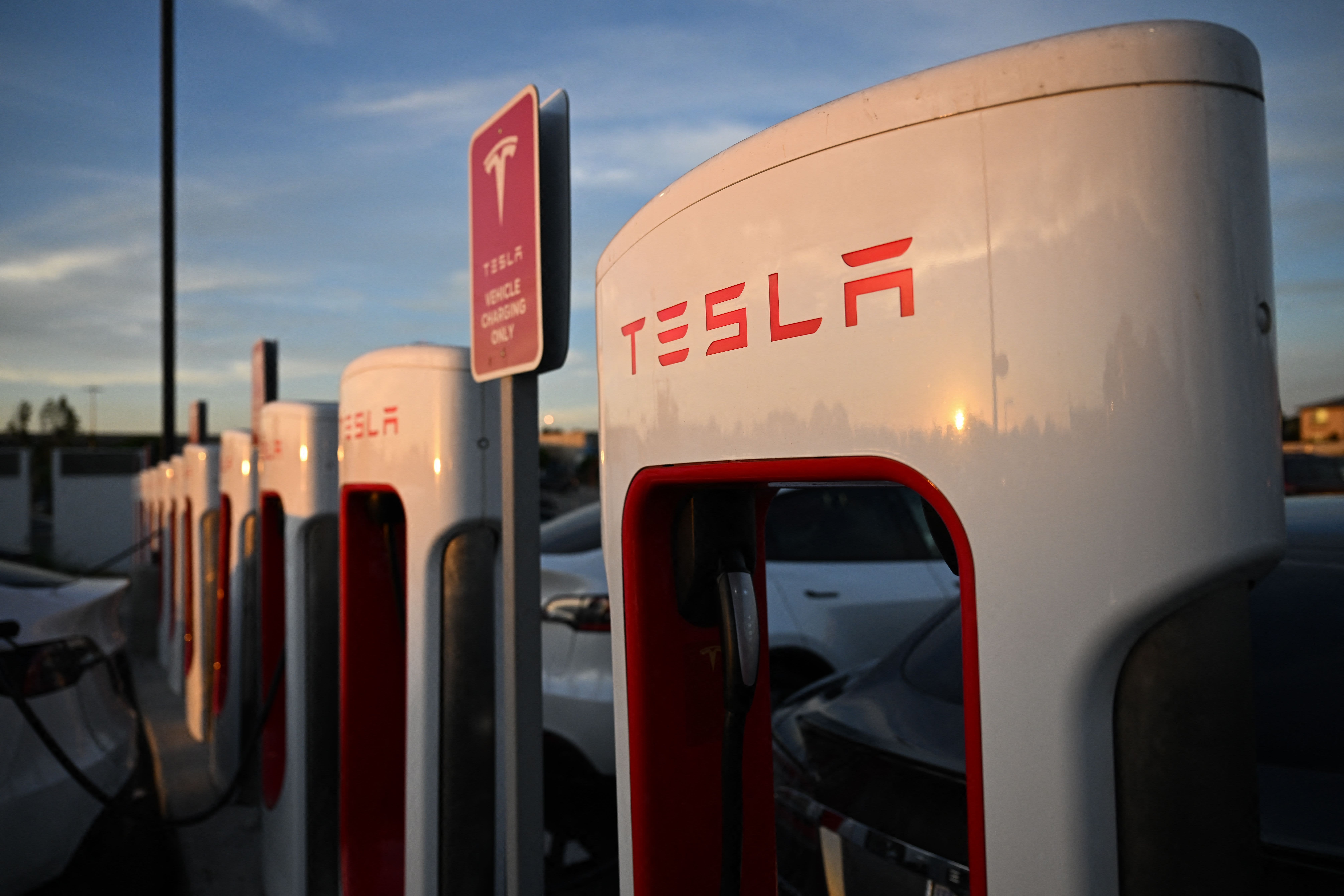 Want a Tesla alternative? Analysts and fund managers reveal their top EV stocks
