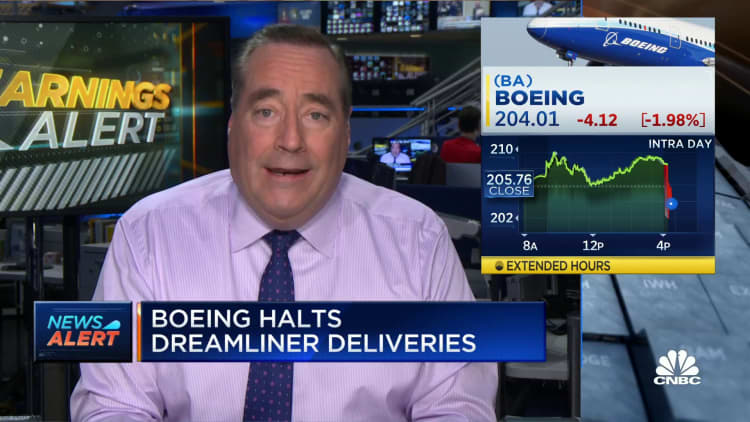 Boeing halts Dreamliner deliveries