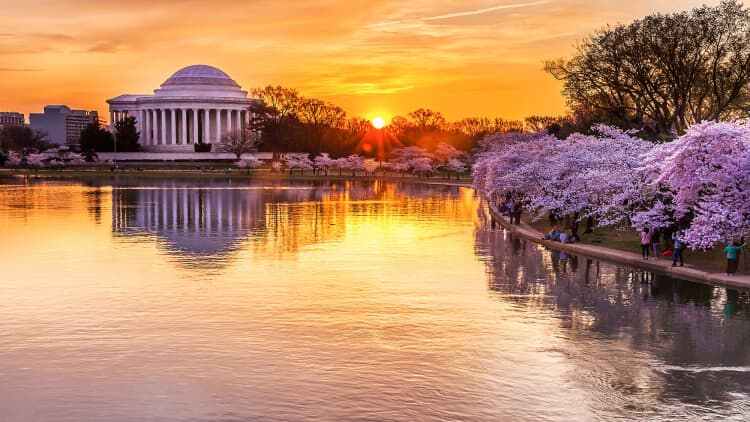 Washington's monuments including Jefferson Memorial, FDR, MLKs are in danger of flooding